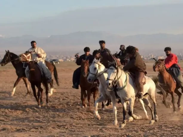 Not For Faint-Hearted, Taliban Embrace Buzkashi Sport In New Afghanistan