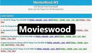 What Makes Movieswood More Popular in Public?