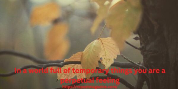 In a world full of temporary things you are a perpetual feeling